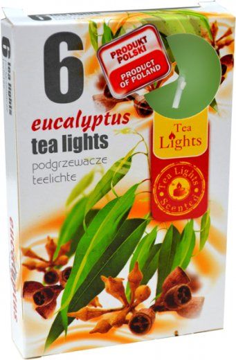 Čajová svíčka - eukalyptus