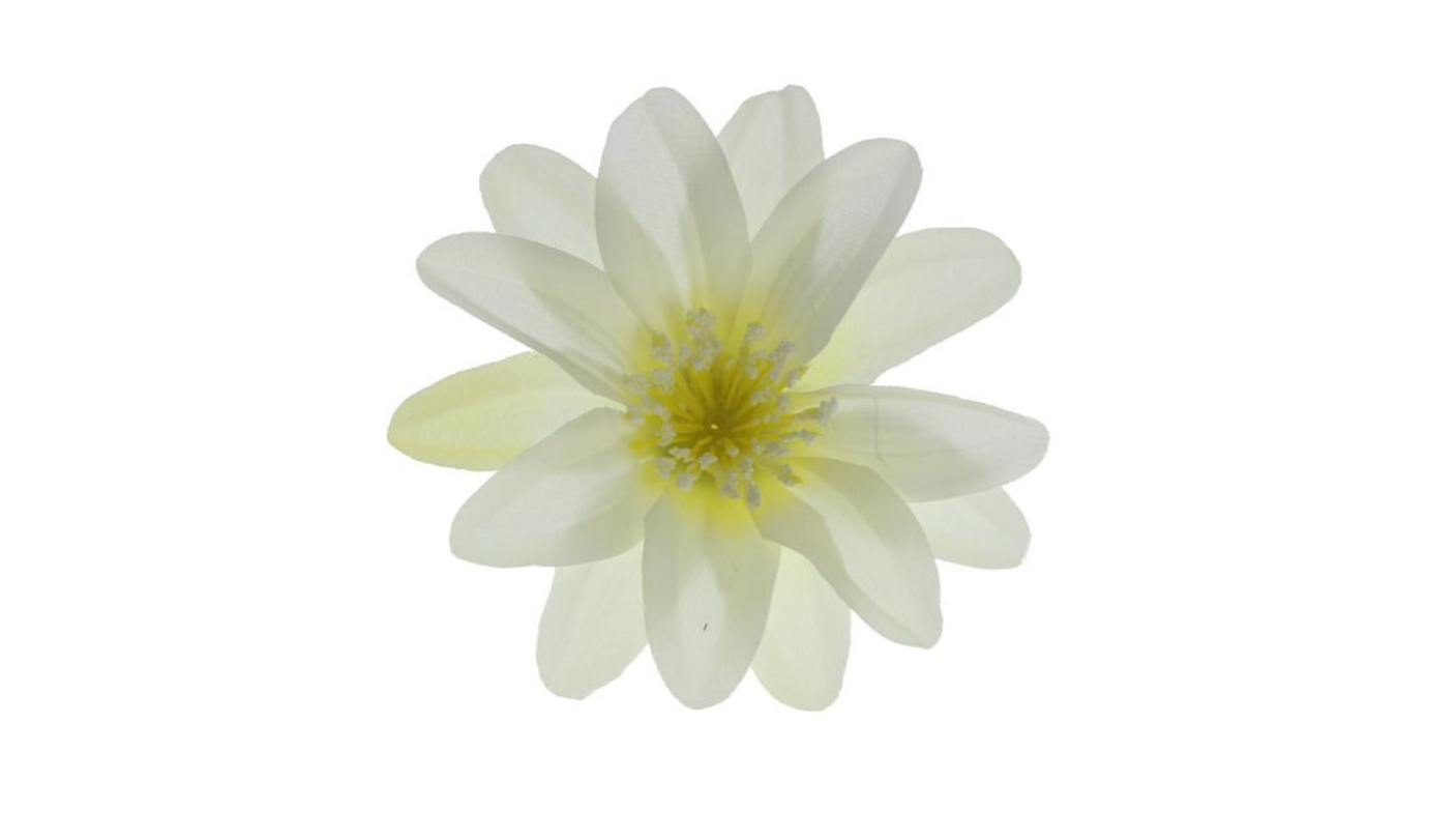 Jiřina - vazbová květina