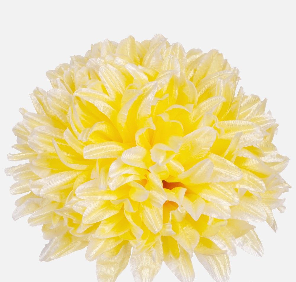 Chryzantéma - vazbová květina