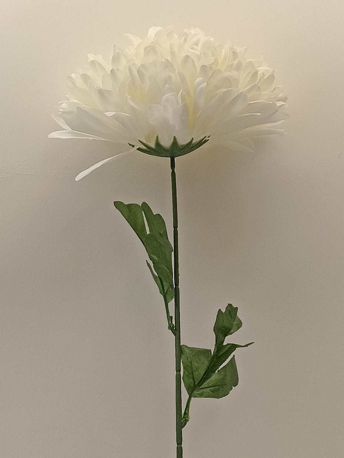 Chryzantéma sólo- umělá květina