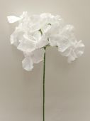Hortenzie zasněžená - umělá květina