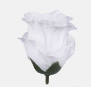 Růže vazbová poupě - bílá
