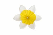 Narcis vazbový- umělá květina