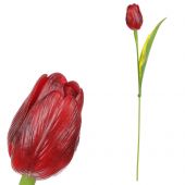Tulipán plast - bordó