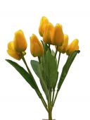 Tulipán x9 - žlutá