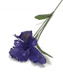 Iris sólo - umělá květina