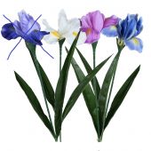 Iris - umělá květina